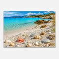 Muschelstrand mit türkisblauem Meer – Leinwandbild