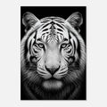 Weißer Tiger: Frontalporträt – Schwarz-Weiß-Leinwandbild, Produktansicht 1