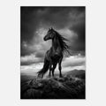Schwarzes Pferd auf dem Berggipfel – Leinwandbild, Produktansicht 1