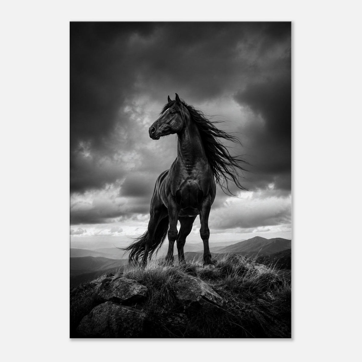 Schwarzes Pferd auf dem Berggipfel – Leinwandbild, Produktansicht 1