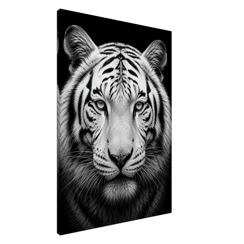 Weißer Tiger: Frontalporträt – Schwarz-Weiß-Leinwandbild, Produktansicht 5