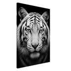 Weißer Tiger: Frontalporträt – Schwarz-Weiß-Leinwandbild, Produktansicht 5