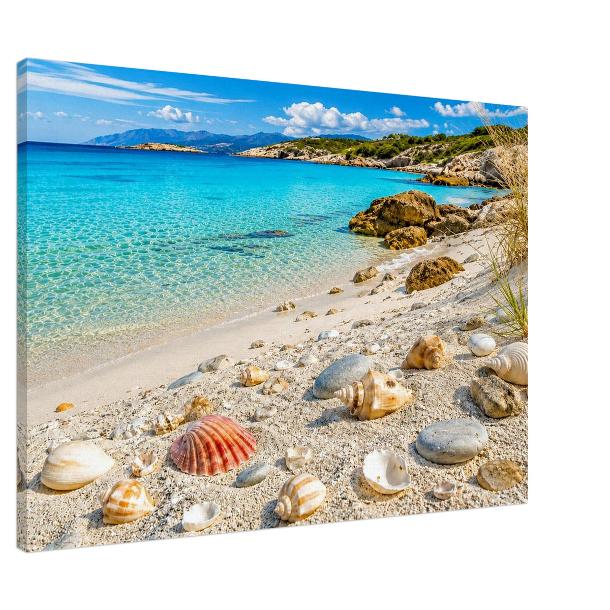 Muschelstrand mit türkisblauem Meer – weitere Produktansicht