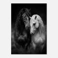 Schwarzes und weißes Pferd – Leinwandbild Pferdepaar