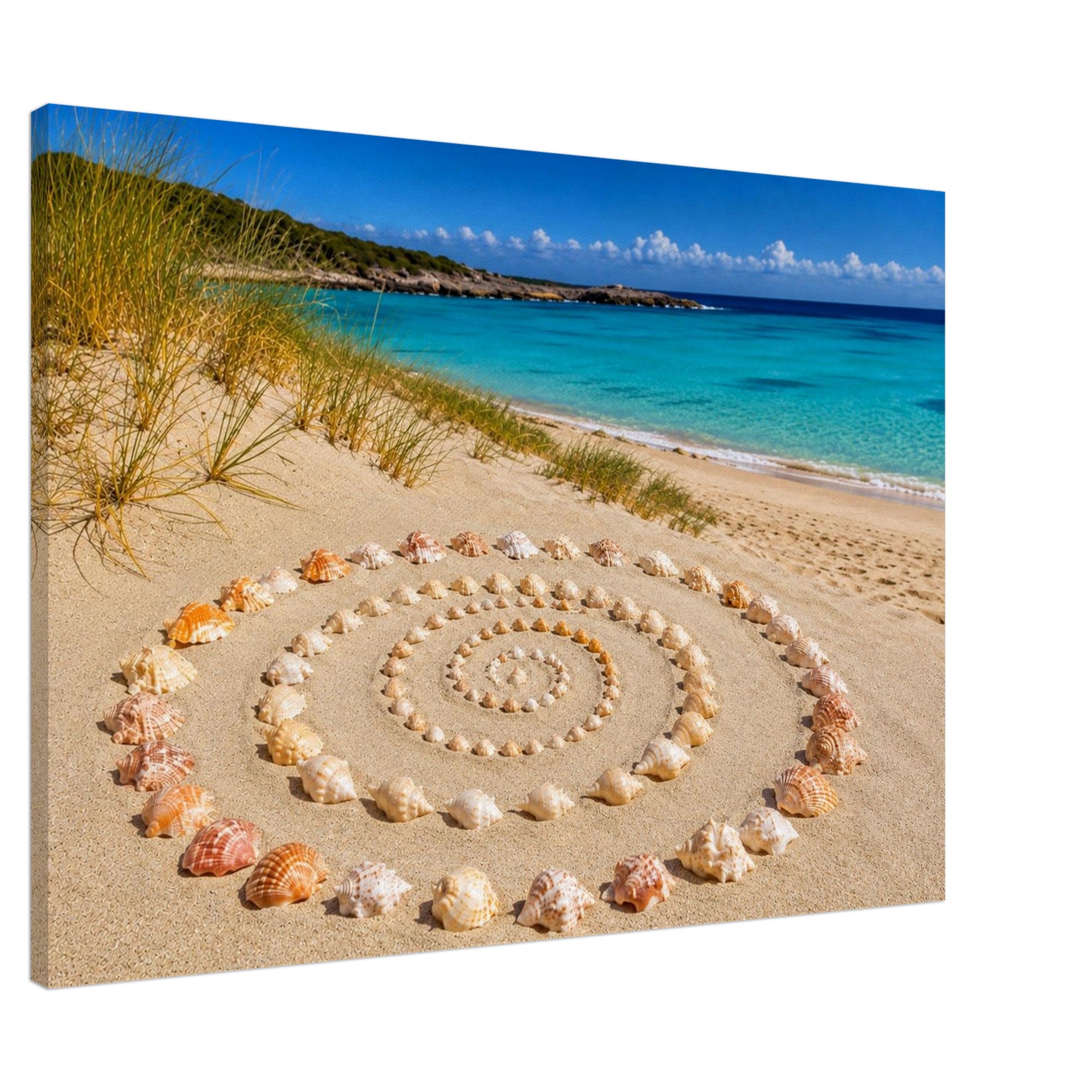 Muschelspirale am Strand – maritimes Leinwandbild, Produktansicht 4