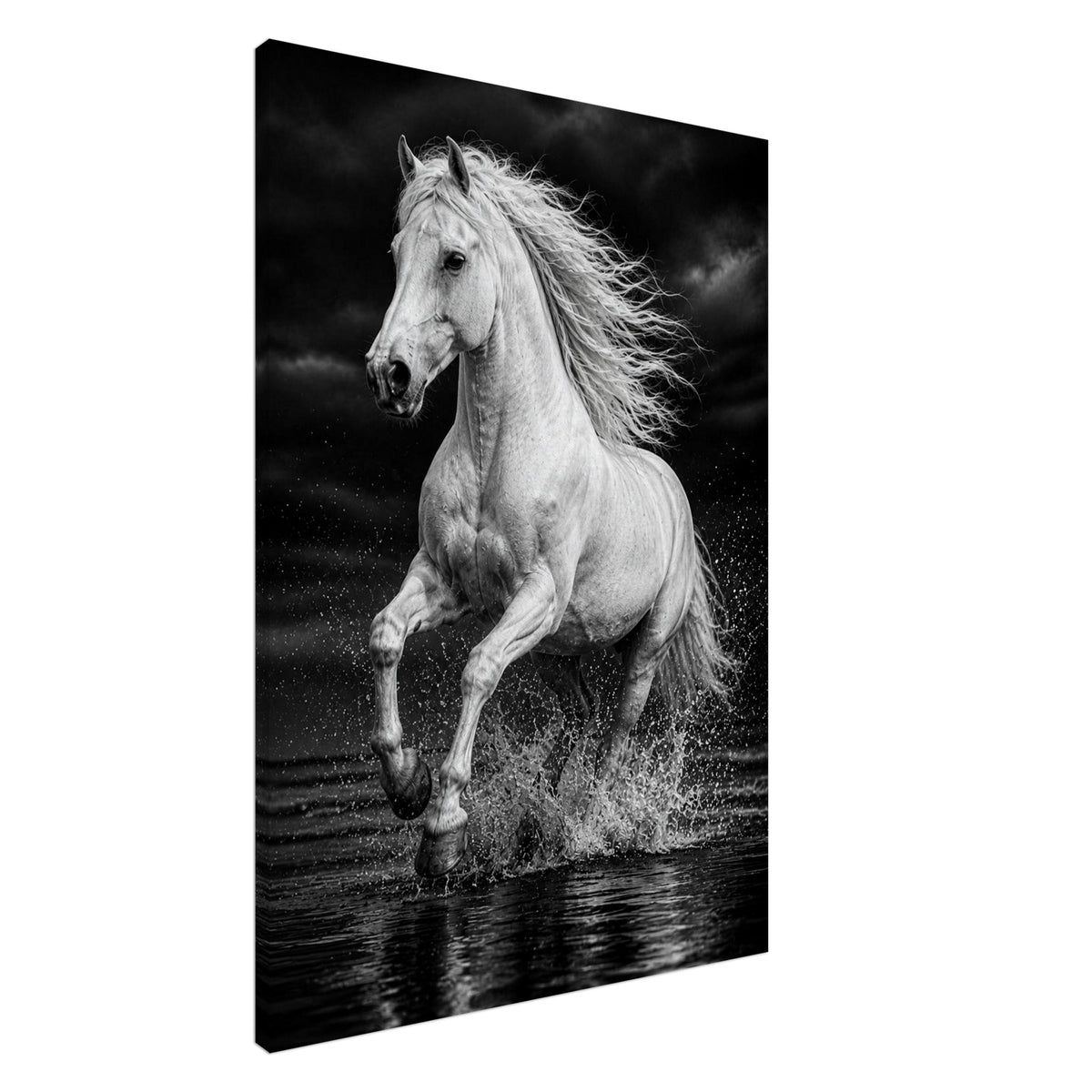 Weißes Pferd im Wasser – Schwarz-Weiß-Leinwandbild, Produktansicht 2
