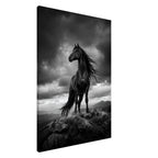 Schwarzes Pferd auf dem Berggipfel – Leinwandbild, Produktansicht 2